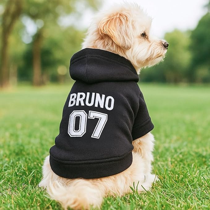 Personalized Name Dog Hoodie, Embroidered Hoodies Pets Name, Custom Pet Memorial, Bright Puppy Sweatshirt, Customized Pet Clothes Warm Winter Outfit for Dogs, Gift for Dog Lovers Style 3