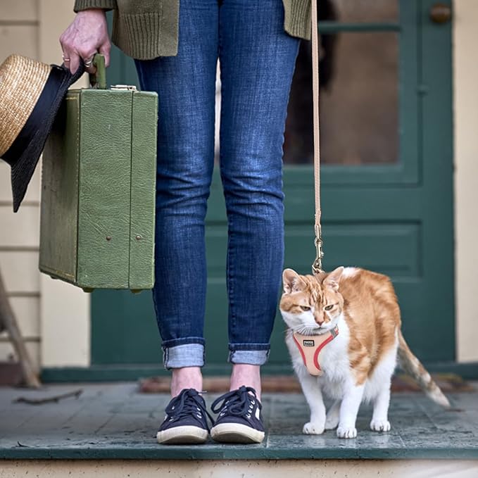 Cat Harness and Leash Set, Soft and Breathable Vest with Reflective Strip, Escape Proof Kitten Harness, Easy to Wear for Cats Walking and Traveling (Pink, XXS)