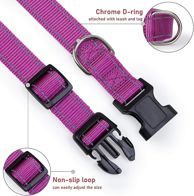 Reflective Dog Collar with Buckle Adjustable Safety Nylon Collars for Small Medium Large Dogs, Purple L