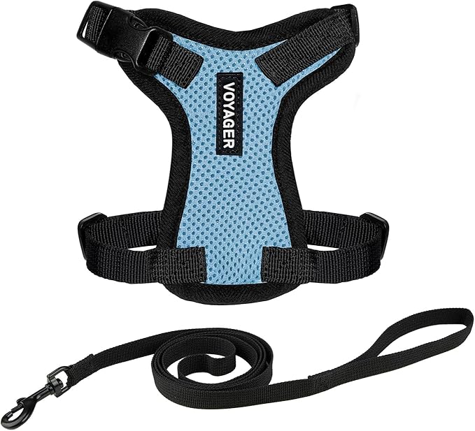 Voyager Escape-Proof Step-in Lock Cat Harness & 5ft Neoprene-Handle Leash Set All-Weather Mesh with Reflective Stitching for Small to Large Cats by Best Pet Supplies, Baby Blue/Black Trim, XS