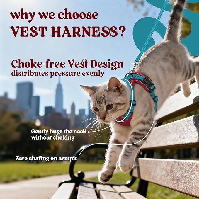 rabbitgoo Cat Harness and Leash for Walking, Escape Proof Soft Adjustable Vest Harnesses for Cats, Easy Control Breathable Reflective Strips Jacket, Red & Teal, XXS