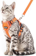 Cat Harness and Leash Escape Proof Small Kitten Harness Abyssinian Cat Vest for Walking Travel, Orange, S