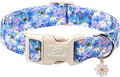 Floral Dog Collar for Large Dogs - Cute Spring Dog Collars, Soft Lightweight Bee & Daisy Puppy Collar, Breathable Adjustable Male Female Blue Wildflowers Dogs Collars XL