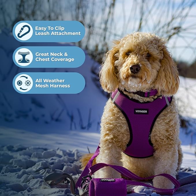 Best Pet Supplies Voyager Step-in Air All Weather Mesh Harness and Reflective Dog 5 ft Leash Combo with Neoprene Handle, for Small, Medium and Large Breed Puppies - Purple/Black Trim, Medium