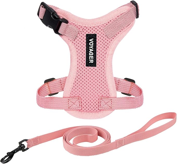 Voyager Escape-Proof Step-in Lock Cat Harness & 5ft Neoprene-Handle Leash Set All-Weather Mesh with Reflective Stitching for Small to Large Cats by Best Pet Supplies, Pink, S