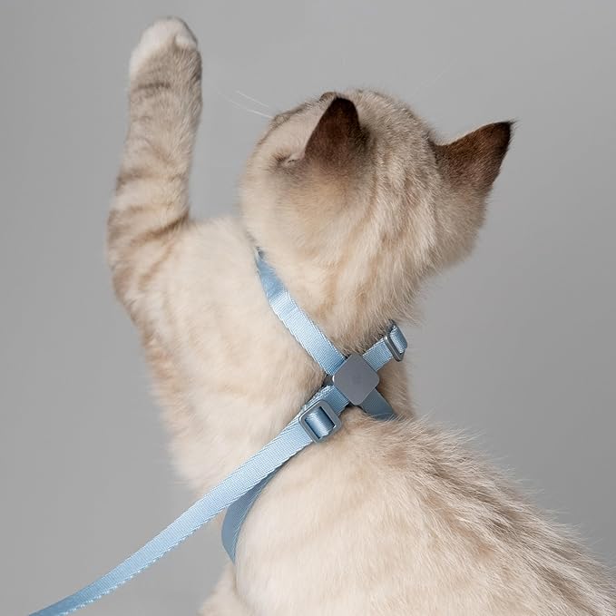 Cat Harness and Leash 2-in-1, Escape Proof Anti-Chocking Harness Adjustable Lighweight Leash for Walking Outoor Training for Kitten Small Large Cats Puppy, US IDA Bronze Award (Vivid Red)