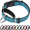 Martingale Dog Collar, Adjustable Nylon Reflective Collar with Buckle No Pull Dog Collar for Small Medium Large Dogs（Blue S