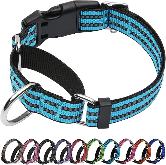 Martingale Dog Collar, Adjustable Nylon Reflective Collar with Buckle No Pull Dog Collar for Small Medium Large Dogs（Blue S