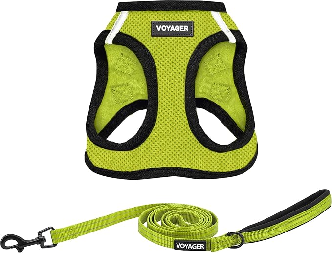 Best Pet Supplies Voyager Step-in Air All Weather Mesh Harness and Reflective Dog 5 ft Leash Combo with Neoprene Handle, for Small, Medium and Large Breed Puppies - Lime/Black Trim, XX-Small