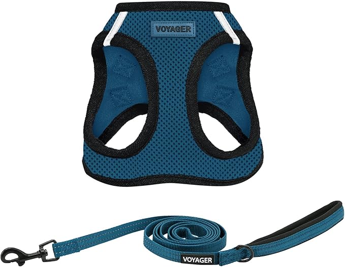 Best Pet Supplies Voyager Step-in Air All Weather Mesh Harness and Reflective Dog 5 ft Leash Combo with Neoprene Handle, for Small, Medium and Large Breed Puppies - Blue/Black Trim, Small