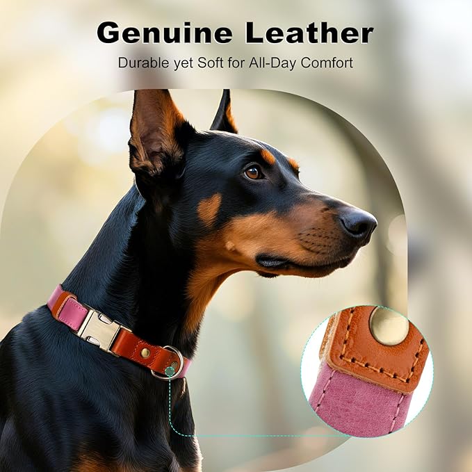 Plutus Pet Genuine Leather & Hemp Dog Collar – Adjustable Heavy Duty Pet Collar with Quick Release Metal Buckle, Soft & Stylish for Puppy and Small, Medium, Large Dogs (Pink, M)