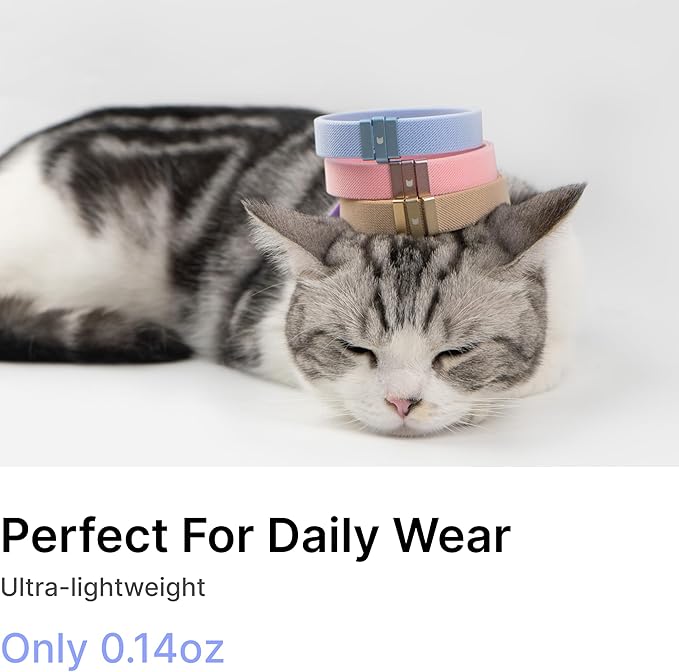 Safety Cat Collar - U.S. IDA Gold Awarding Design, Stretch Elastic Quick Release, Non Breakaway - Light Weight for Kitten, Neck Fit 7.8'-15.7' for All Small Large Cat,M(Sierra Blue)