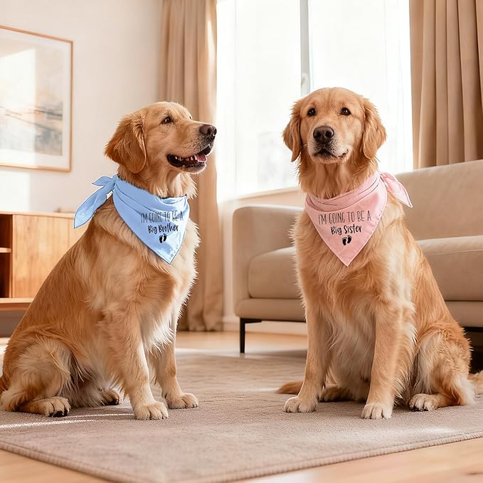 2 Pack Dog Bandana Pregnancy Announcement, I'm Going to Be a Big Brother Gender Reveal Puppy Dog Scarf Accessories, Adjustable Pet Bandana Scarf for Small Medium Large Dogs