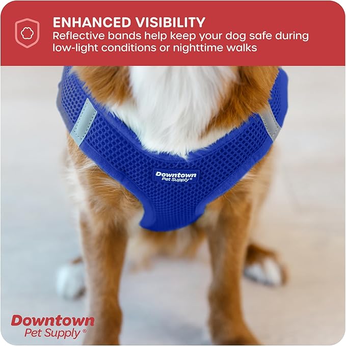 Downtown Pet Supply Step in Dog Harness for Small Dogs No Pull, Medium, Blue - Adjustable Harness with Padded Mesh Fabric and Reflective Trim - Buckle Strap Harness for Dogs
