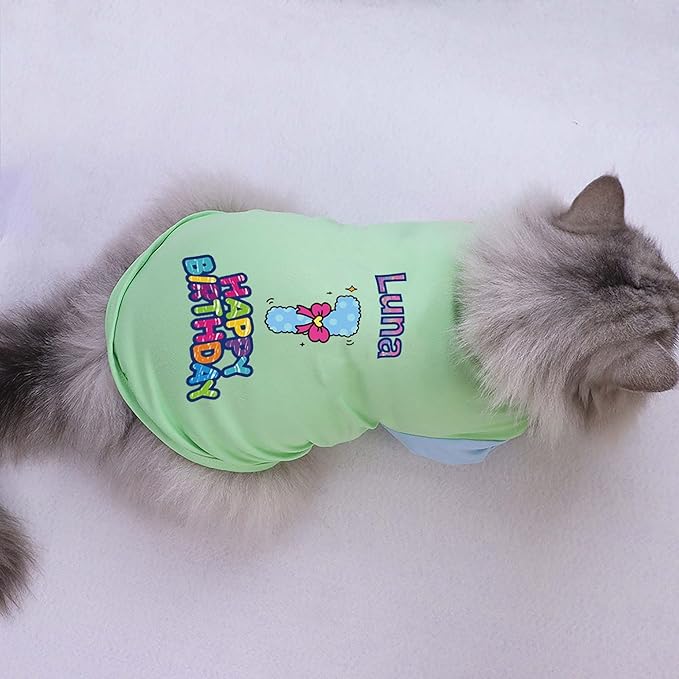 Custom Dog Birthday Shirt,Personalized Pet Apparel Print with Name Age Number,Pet Birthday Outfit,Lightweight Breathable Cotton Vest for Small Medium Large Dogs Cat (Dopamine Blue, X-Large)