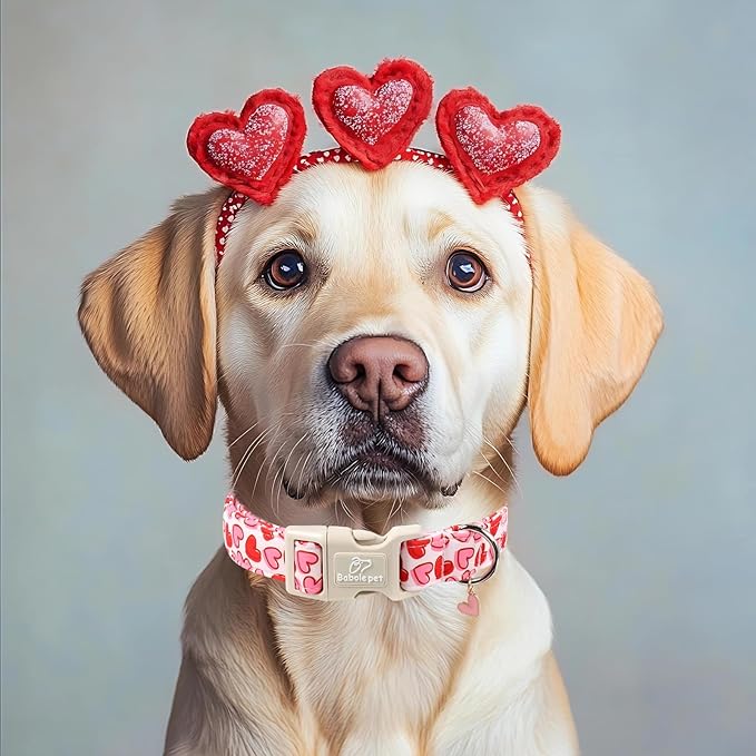 Valentines Dog Collar for Medium Dogs - Pink Valentine Hearts Dog Collars, Girly Love Female Dogs Collars, Lightweight Adjustable Cute Puppy Collar with Quick-Release Buckle M