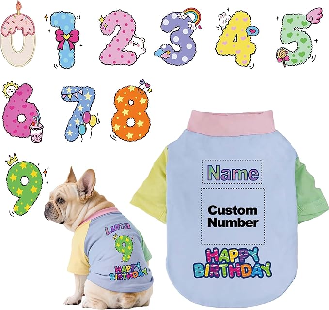 Custom Dog Birthday Shirt,Personalized Pet Apparel Print with Name Age Number,Pet Birthday Outfit,Lightweight Breathable Cotton Vest for Small Medium Large Dogs Cat (Dopamine Blue, Small)