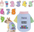 Custom Dog Birthday Shirt,Personalized Pet Apparel Print with Name Age Number,Pet Birthday Outfit,Lightweight Breathable Cotton Vest for Small Medium Large Dogs Cat (Dopamine Blue, Small)