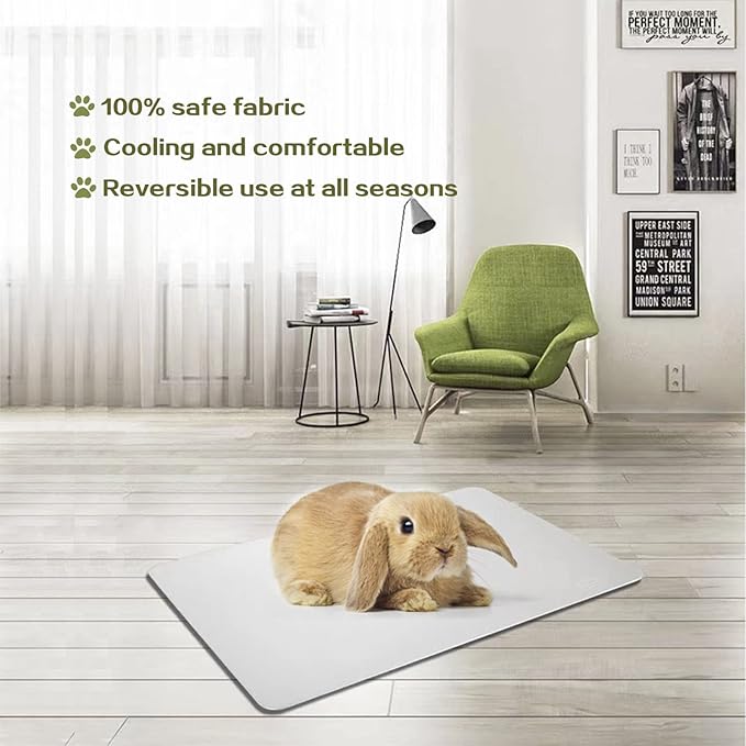 Rabbit Cooling Pad, 11.8x7.9 in Hamster Cooling Mat Pet Cool Plate for Rabbit Bunny Hamster Guinea Pig & Other Small Pets Stay Cool This Summer - Bite Resistance Pet Cooling Pad Ice Bed