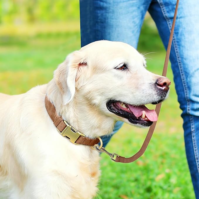 Genuine Leather Dog Collar - Adjustable Pet Collar with Quick Release Metal Buckle, Soft Skin Friendly Real Leather Collar for Small, Medium, Large Dogs (Brown Collar + Rope, S：Fit 8-16" Neck)