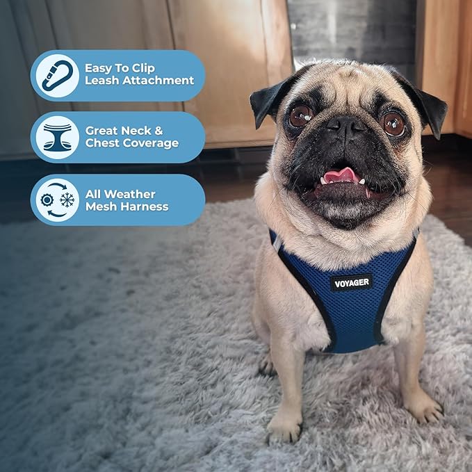 Best Pet Supplies - All Weather Mesh / Plush, Reflective, No Pull Harness for Small, Medium Dogs, Cats - Secure with Hook & Loop Fastener, Buckle, Double D-Rings - Blue/Black Trim, M
