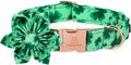 Lionheart Glory St. Patrick's Day Dog Collar, Dog Collar with Flower, Cute Floral Pattern Pet Collars Adjustable Pet Collars for Small Dogs