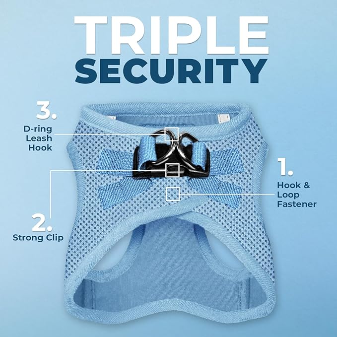 Best Pet Supplies Voyager Step-in Air All Weather Mesh Harness and Reflective Dog 5 ft Leash Combo with Neoprene Handle, for Small, Medium and Large Breed Puppies - Set (Baby Blue), M