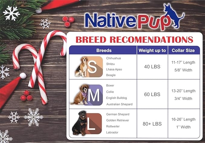 Native Pup Christmas Dog Collar- Winter Holiday Collars for Pets- Xmas Gift for Puppy- Santa, Reindeer, Snowman, Candy Cane, Red Green- Girl Boy- Small, Medium, Large Breeds (Green Snowflake, Medium)