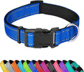 Reflective Dog Collar, Adjustable Soft Neoprene Padded Nylon Pet Collars with Buckle for Small Dogs, Navy Blue,S