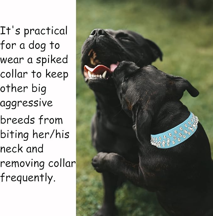 TEEMERRYCA Adjustable Microfiber Leather Spiked Studded Dog Collars with a Squeak Ball Gift for Small Medium Large Pets Like Cats/Pit Bull/Bulldog/Pugs/Husky, Blue, M(12"-15")