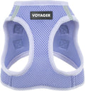 Best Pet Supplies Voyager Step-in Air Harness - All Weather Mesh, Reflective, No Pull Harness for Dogs, Cats - Secure with Hook & Loop Fastener, Buckle, Double D-Rings - Lavender, XXXS