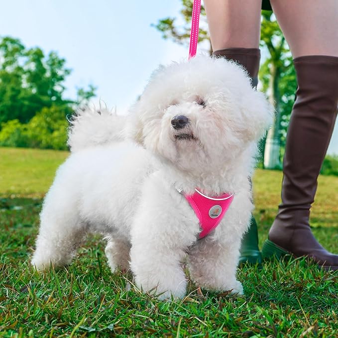 Hipubby Dog Harness and Leash Set, No Pull Soft Mesh Puppy Harness for Small Medium Dogs, Cats - Step in Reflective Breathable Lightweight Vest Harness for Walking, Training - Rose Red, M