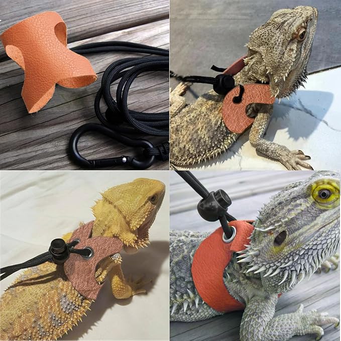 Small Animal Portable Backpack Carrier with Leather Harness and Leash Set,Space Capsule Clear Bubble Window Travel Backpack for Bearded Dragon,Guinea Pig,Rabbit,Airline Approved