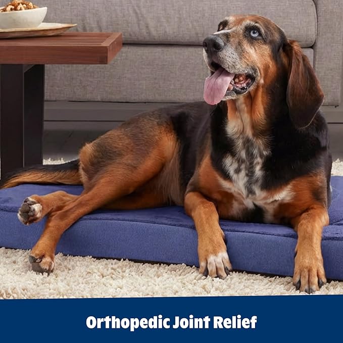 Barkbox Orthopedic Dog Bed with Memory Foam, Premium Comfort for Dogs and Puppies, Dog Bed for Joint Relief and Restful Sleep, Durable and Easy to Clean - Navy, Medium