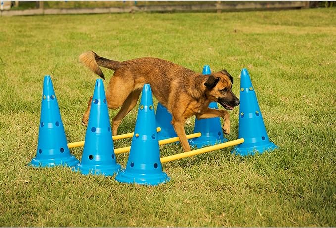 Midlee Dog Cone & Pole Agility Set- Adjustable Big to Small Dogs- Set of 3