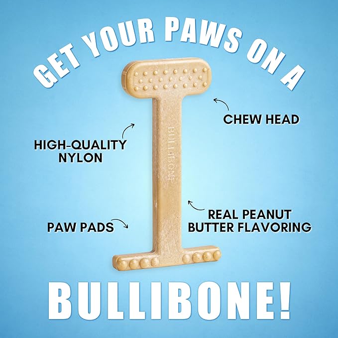 Bullibone Nylon Dog Chew Toy for Aggressive Chewers - Dental Hygiene Bone with Peanut Butter Flavor, Durable Tough Chew Toys for Large Dogs, Indestructible Dog Bone - 3 Pack