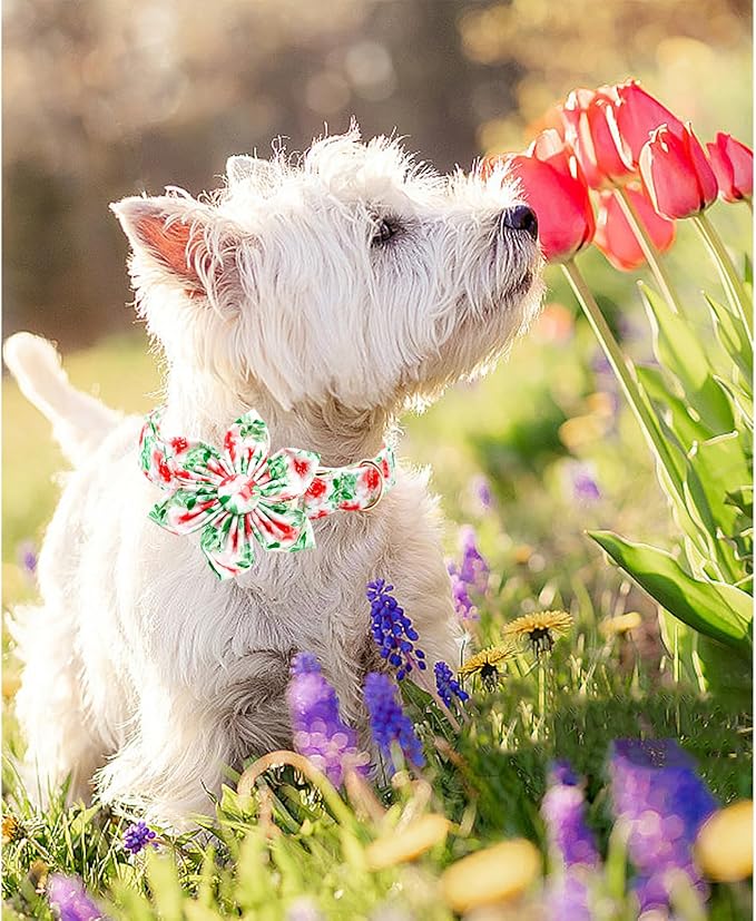 Lionheart glory Dog Collar Flowers Collar Floral Dog Collar with Flower Spring Summer Cute Collar Dog Boy or Girl Dog Collars Soft Durable Adjustable Dog Collars for Medium Dogs