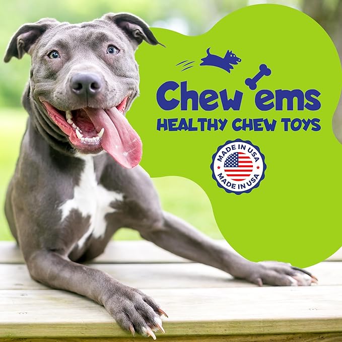 Chew’EMS X Bone Dog Chew Toy for Aggressive Chewers – Long-Lasting Chicken Flavor Nylon Bone – Durable, Rawhide-Free Dental Toy - Large Size – Made in USA
