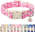 Summer Daisy Dog Collar, Cute Floral Adjustable Pink Dog Collars for Small Dogs, Lightweight Quick-Release Buckle Collar for Boy&Girl Dogs S