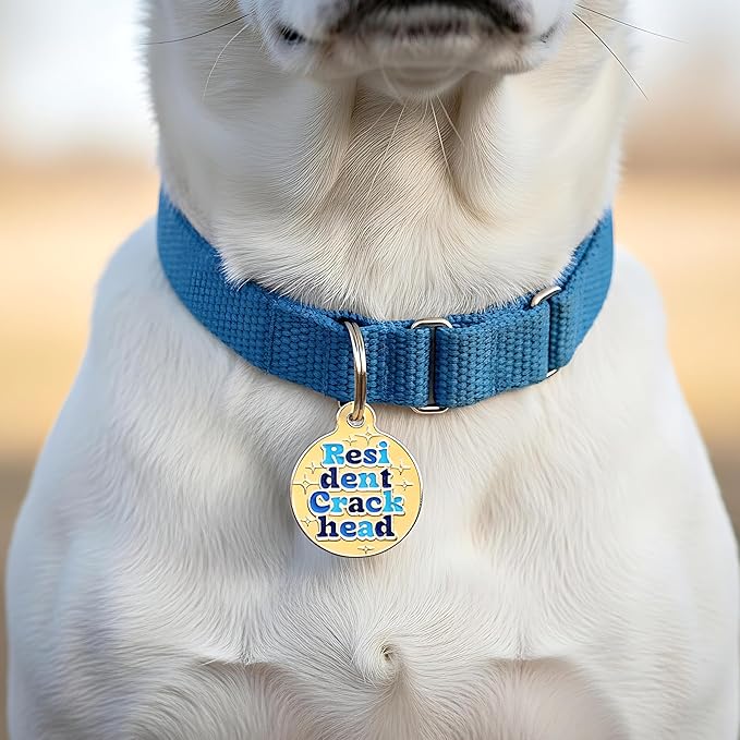 Bad Tags Personalized Dog and Cat ID Tags in 25+ Designs and 2 Sizes - 5 Lines of Custom Engraved Text - Funny Cute Personalized Pet Tags (Resident Crackhead - Orange, Small (1 inch))