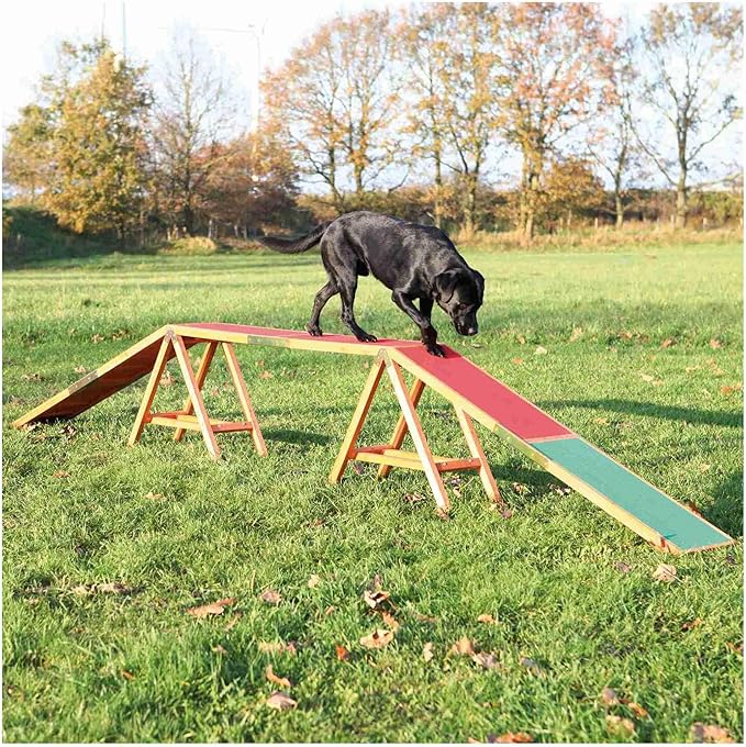 Trixie Dog Agility Walk and Ramps – Dog Obstacle Training Equipment Training Equipment for Indoor and Outdoor Use – 179.5 × 11.8 × 25.2 in