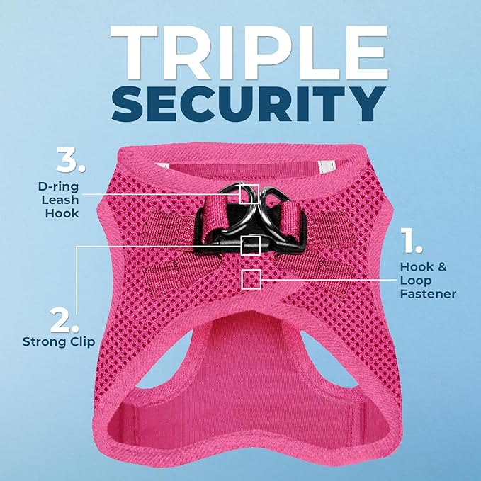 Best Pet Supplies Voyager Step-in Air All Weather Mesh Harness and Reflective Dog 5 ft Leash Combo with Neoprene Handle, for Small, Medium and Large Breed Puppies - Set (Fuchsia), L