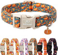 Fall Dog Collar Cute Autumn Pumpkin Puppy Collar - Light Comfortable Adjustable Pet Collars for Small Medium Large Girl Boy Dogs XS