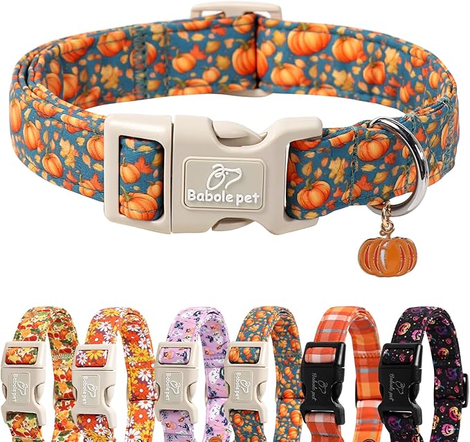 Fall Dog Collar Cute Autumn Pumpkin Puppy Collar - Light Comfortable Adjustable Pet Collars for Small Medium Large Girl Boy Dogs L
