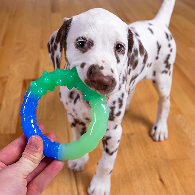 Outward Hound Pupstages Grow-with-Me Ring Dog Chew Toy, Durable Rubber, 3 Texture Zones, Teething Puppies & Small Dogs, 4.7”