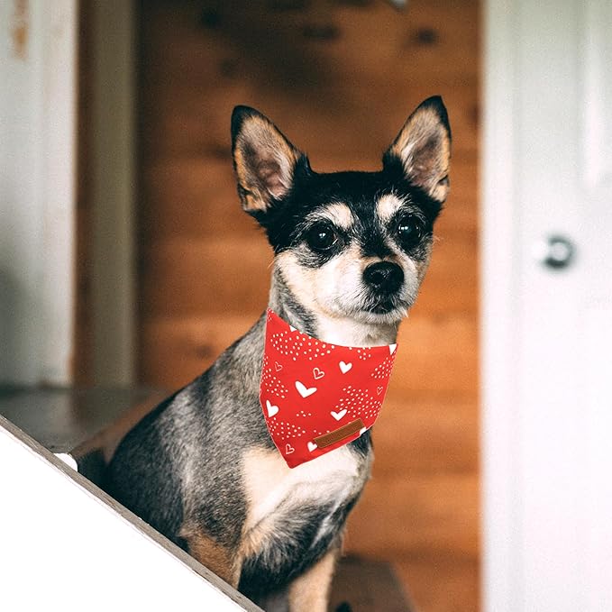 Realeaf Valentine's Day Dog Bandanas 2 Pack, Reversible Red Plaid Heart Dog Scarf for Boy and Girl, Premium Durable Fabric, Holiday Love Bandana for Large and Extra Large Dogs Pets (X-Large)