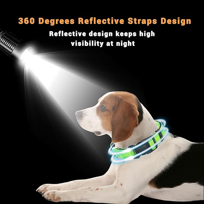 2 Pack Reflective Dog Collar with Safety Locking Buckle, Adjustable Soft Breathable Comfortable Nylon Pet Collar for Small, Medium and Large Dogs, Green, S