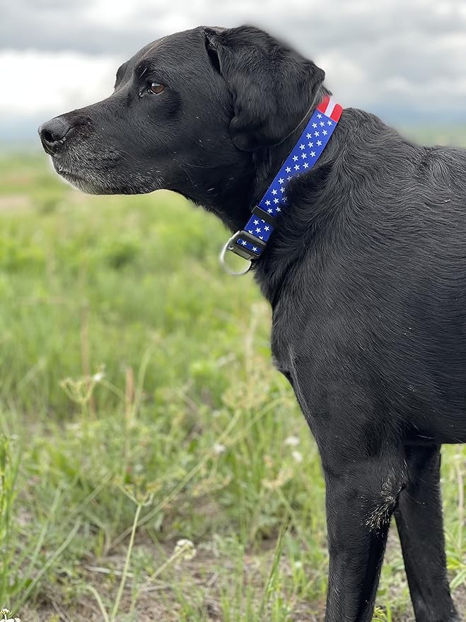 Native Pup American Flag Dog Collar- Red White and Blue- Patriotic Collars for 4th of July, USA- Adjustable Small, Medium, Large Breed Dogs (Large, Flag I)