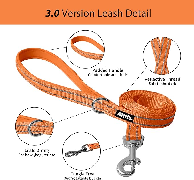 AIITLE Step in Dog Harness and Leash Set - No Pull Escape Proof Vest Harnesses with Soft Mesh and Reflective Bands, Adjustable Pet Outdoor Harnesses for Small and Medium Dogs Orange M