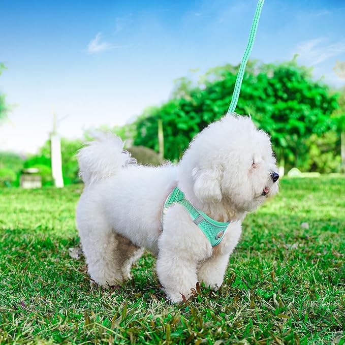 Hipubby Dog Harness and Leash Set, No Pull Soft Mesh Puppy Harness for Small Medium Dogs, Cats - Step in Reflective Breathable Lightweight Vest Harness for Walking, Training - Green, L